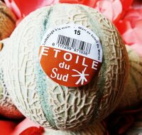 Melon cal 12